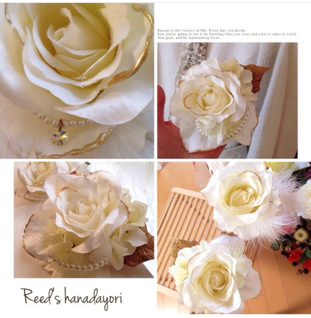 白もすてき 白もすてき