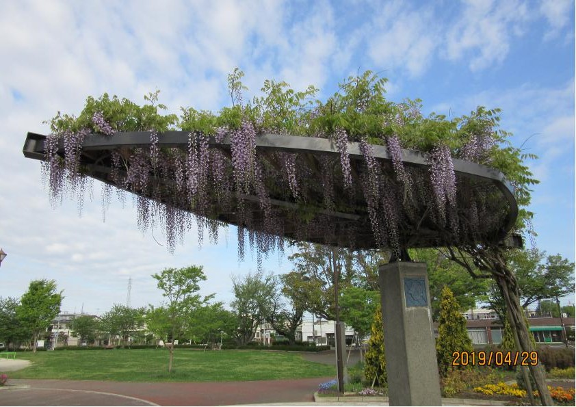 2019fujihana 2019fujihana